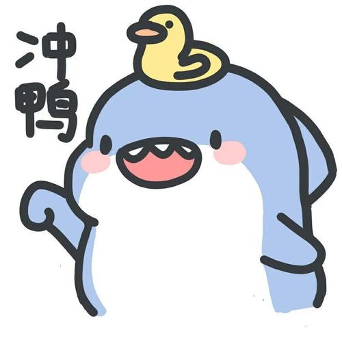 这么可爱的小鲨鱼你确定不收吗