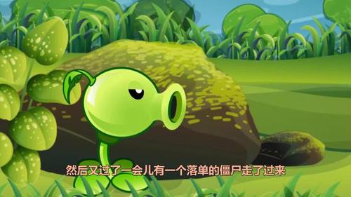 豌豆射手太累了,准备躲在石头后面睡一觉,可是僵尸发现了他