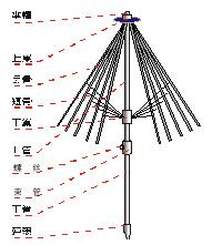         附:伞骨结构图