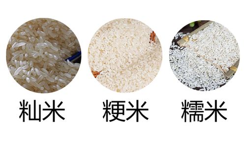 市场上的米通常根据粒形和粒质将大米分为 籼米,粳米和糯米三类.