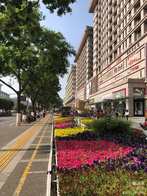 西安街景之三:坐标:北大街南段