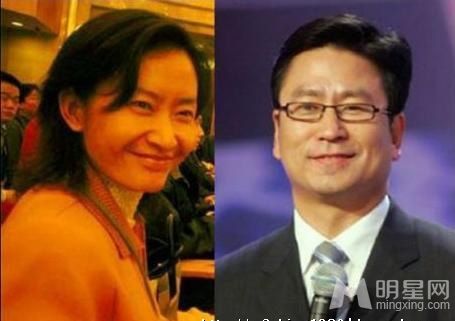 盘点10大央视名嘴妻子的神秘背景之白岩松