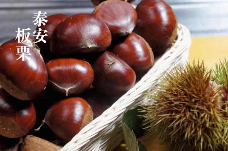 泰山板栗:日本人称它为"人参果",鲜食粉糯喷香!