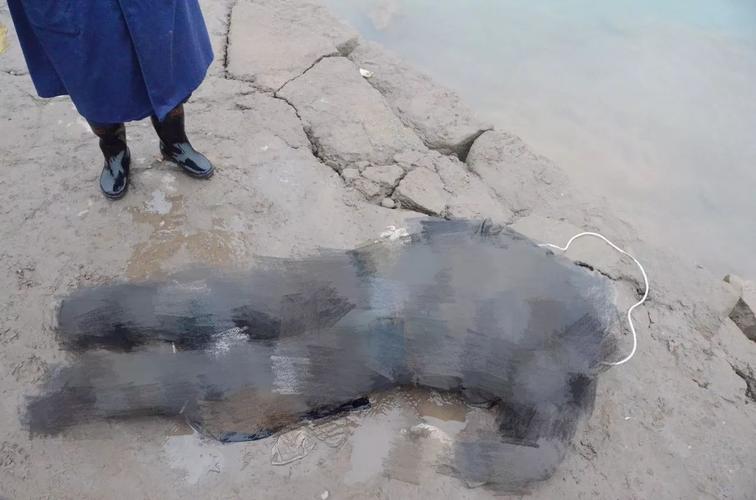 长江边现一具男性浮尸,衣着完整!南溪人请扩散此信息!