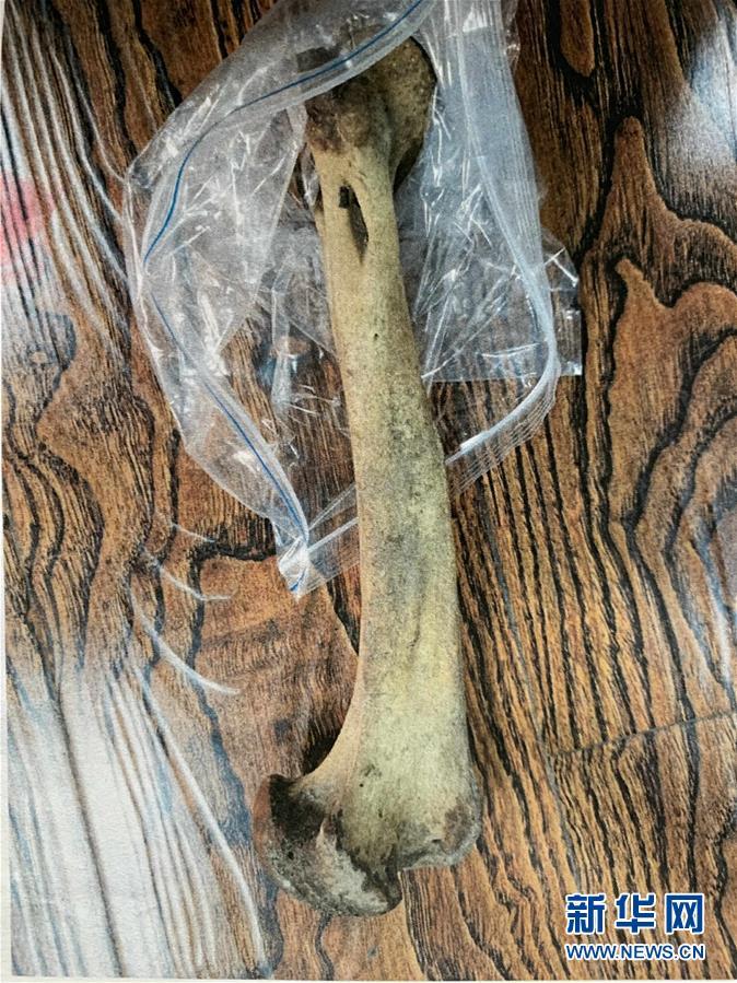 黑龙江一男子走私虎骨被判5年