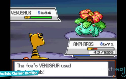 精灵宝可梦dp 小智战斗集锦