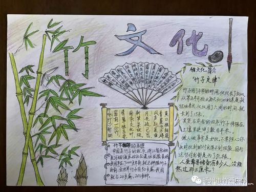 竹文化–综合实践活动手抄报作品