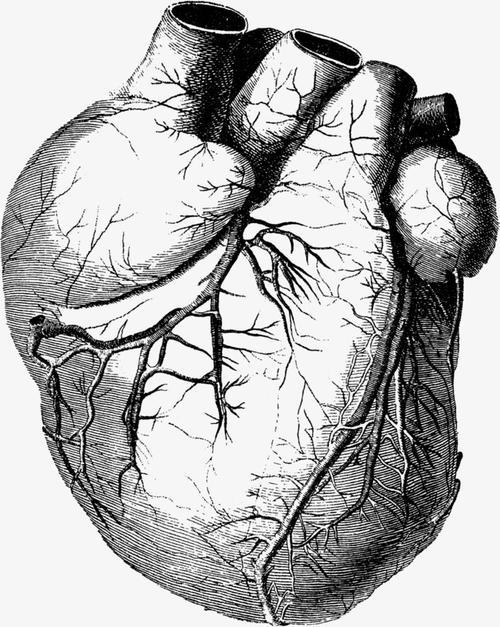 心脏手绘图简笔画