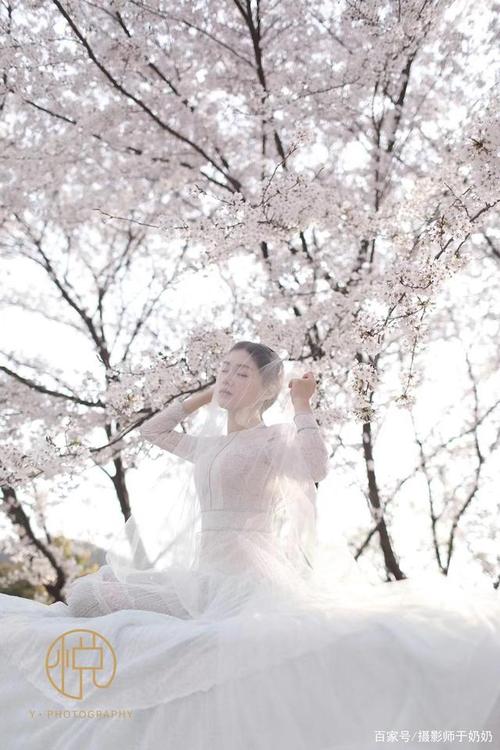 悦摄影樱花拍婚纱照特别开心特别美