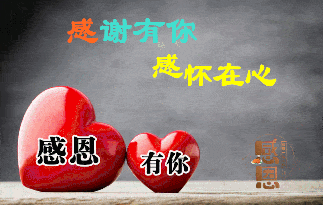 感恩节最漂亮早上好动态表情图片大全,早晨好动图美图