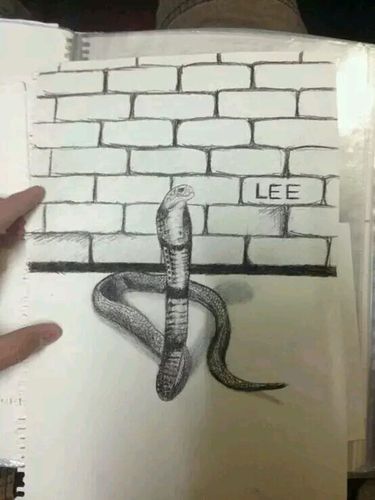 画素描3d蛇的画法教程