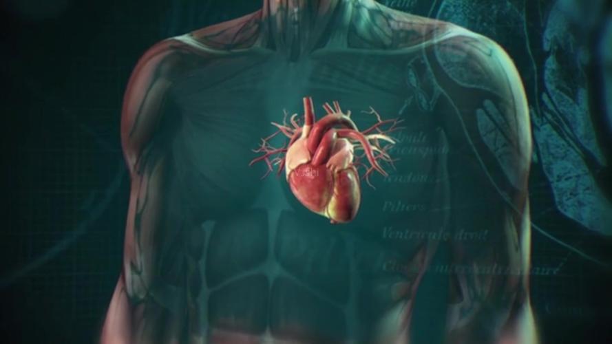人体扫描心脏跳动三维模型医学医药演示_1920x1080