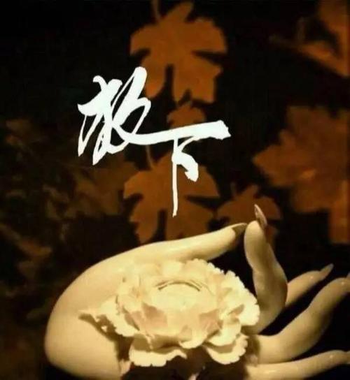 放下是一种解脱,一种顿悟;放下是心态的选择,是生活的智慧.