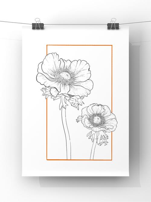 每日一画 day 8 (ipad手绘罂粟花)_ipad_手绘_插画_钢笔_花卉_我的