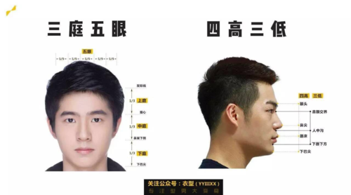 就是三庭五眼,四高三低