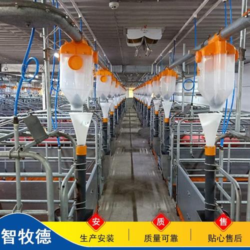 猪场自动化料线养猪设备料线全自动料线养猪设备