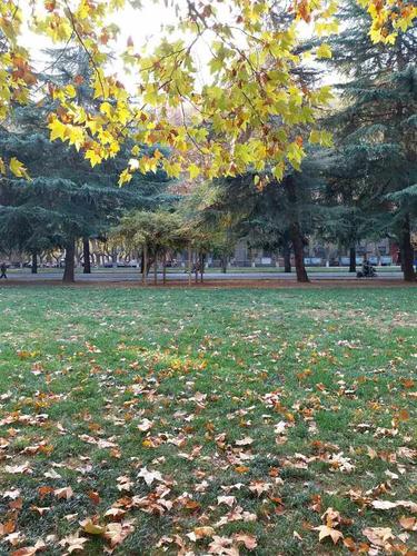 河南排名第一的大学校园秋日风景——郑州大学