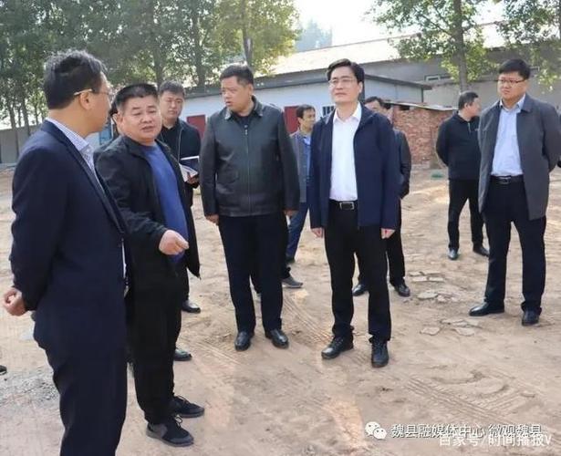 魏县政府县长高巍督导调研土地卫片执法整改,"双代"及