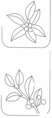 冬青简笔画图片大全