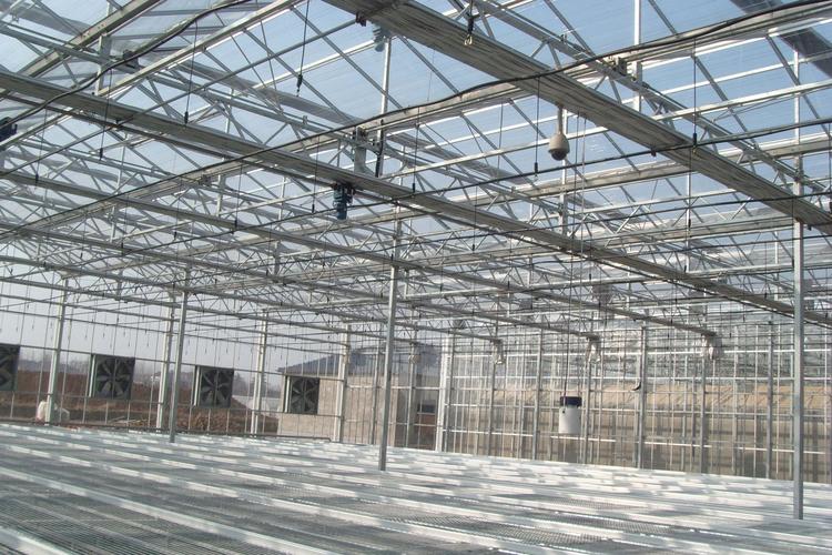 宛城区鸭子养殖大棚