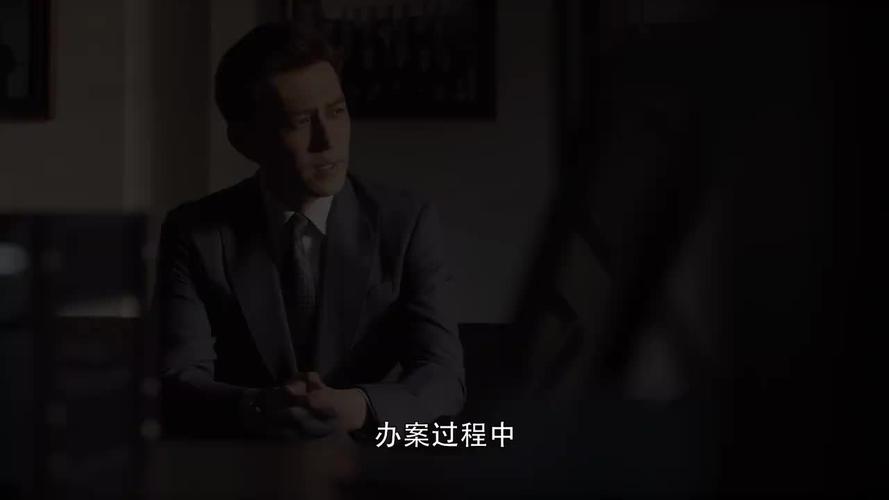 精英律师罗槟找到何嘉一说服检察院召开听证会还劝杜飞参加