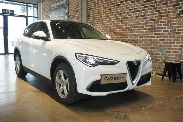 【厦门】2019年1月 阿尔法-罗密欧 alfa stelvio 2017款 2.
