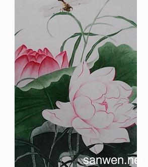 画荷花的-欣赏完荷花手绘图片彩铅画图片之后请和小编一起看一些关于