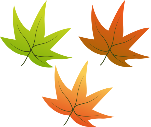 卡通树叶图片大全