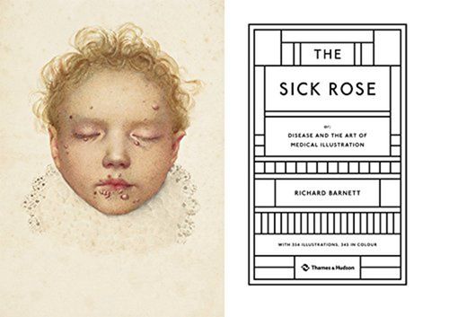 原版the sick rose病态玫瑰 医学疾病病态插画艺术图书
