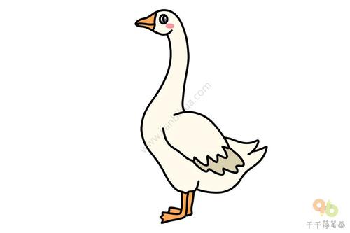 轻松学会鹅简笔画
