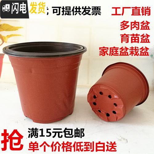 外口径14cm[50个价格] 中等花盆容器