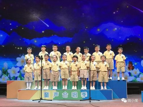 《闪闪的童星》【2017合肥少儿电视文化艺术节童声合唱季】节目预告