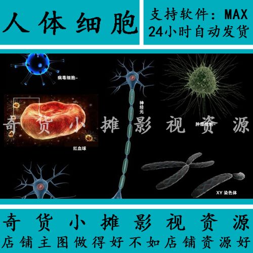 d35人体人类微生物细胞医学院医疗病毒神经染色体细胞3dmax模型