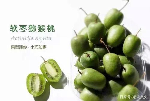 软枣猕猴桃的营养价值