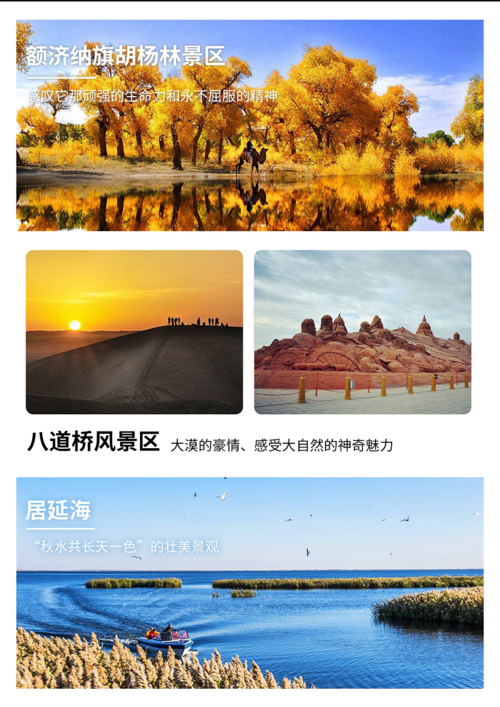 西安出发额济纳旗胡杨林5天4晚跟团游额济纳胡杨林怪树林弱水金沙湾居