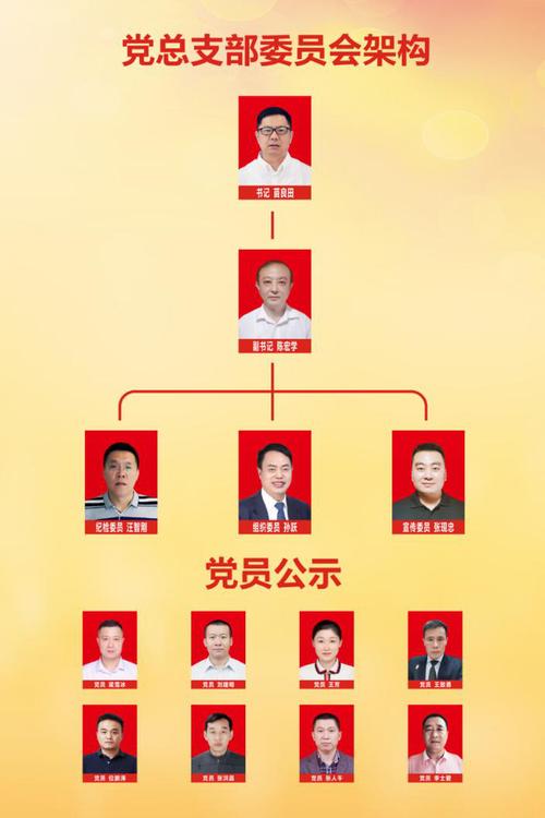 重庆市山东商会党总支组织架构