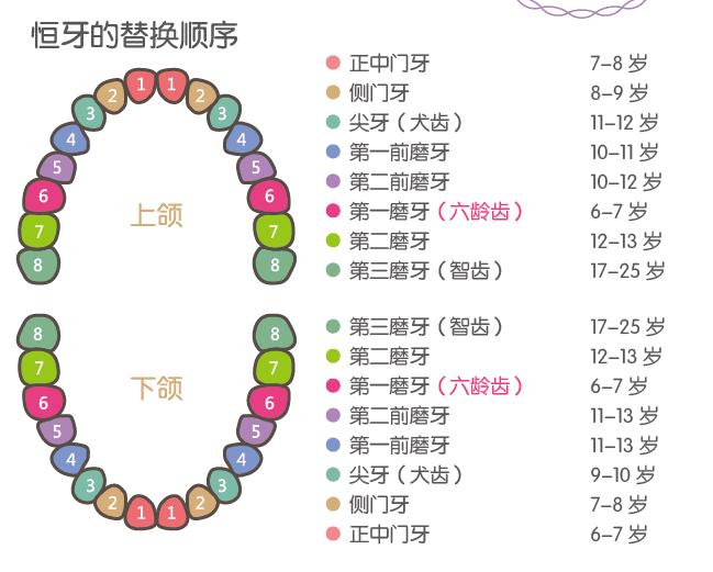 家长如何应对孩子替牙期会出现的异常情况?