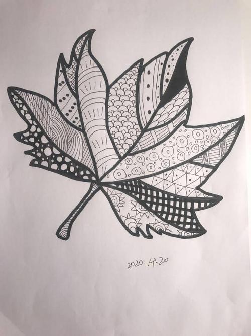 实验小学【杨老师美术小课堂】 六年级《线描画的黑白对比》