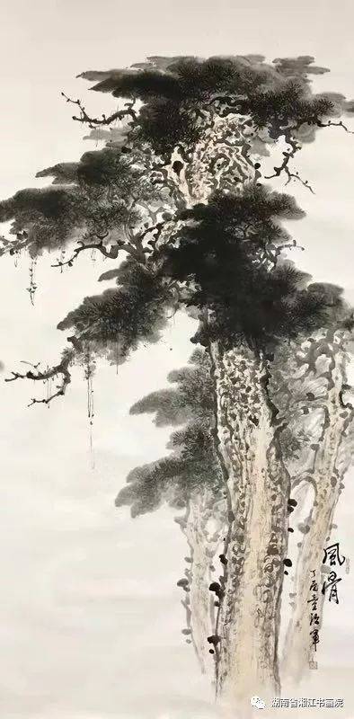 【871期】丹青铁笔铸松魂——童治军画松作品欣赏