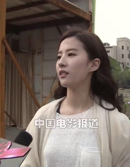 有种"颜值任性"叫刘亦菲,拿央视镜头当镜子,这颜值什么水平?