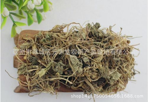 供应中药材积雪草铜钱草崩大碗缺碗草马蹄草雷公根一斤