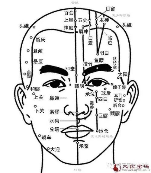 这些穴位面部按摩,美容又治病