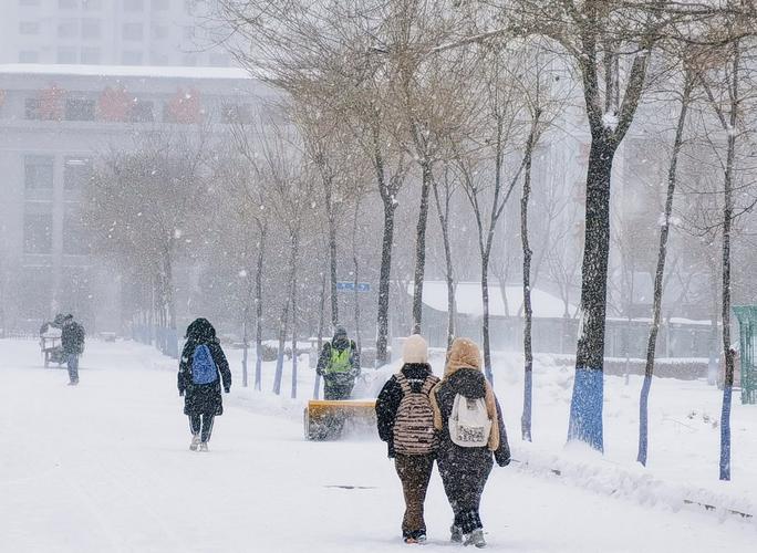 图说直击现场黑龙江省多地遭遇暴风雪