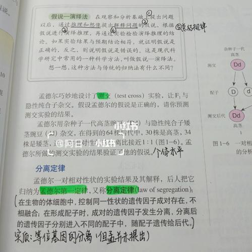 高中生物必修二 第一课 教材批注式笔记
