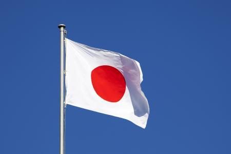 日本的国旗是什么样子啊?