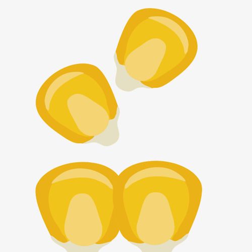 黄色玉米粒食品装饰彩绘图