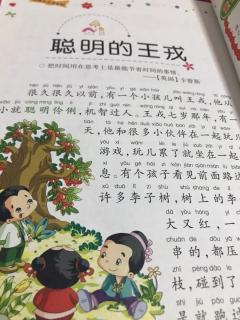 聪明的王戎20171216