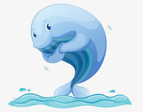 关键词 : 蓝色,大海,鲸鱼,卡通