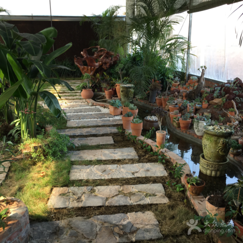 若比邻生态餐厅图片 - 第180张