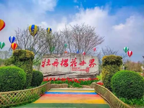 垫江 牡丹樱花世界